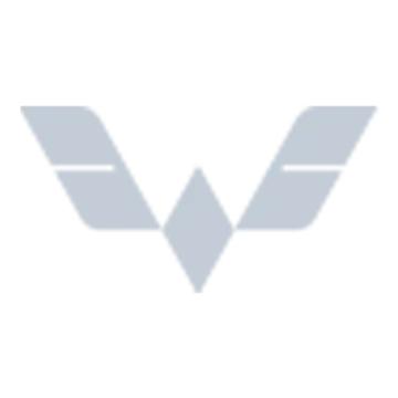 SAIC-GM-Wuling Automobile manufacturer logo