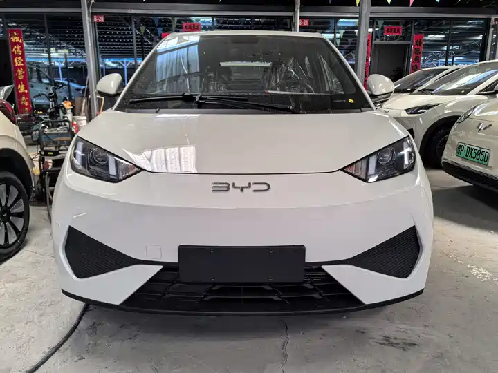 2025 BYD Seagull 2025 305km Automatic Vehicle photo gallery 3