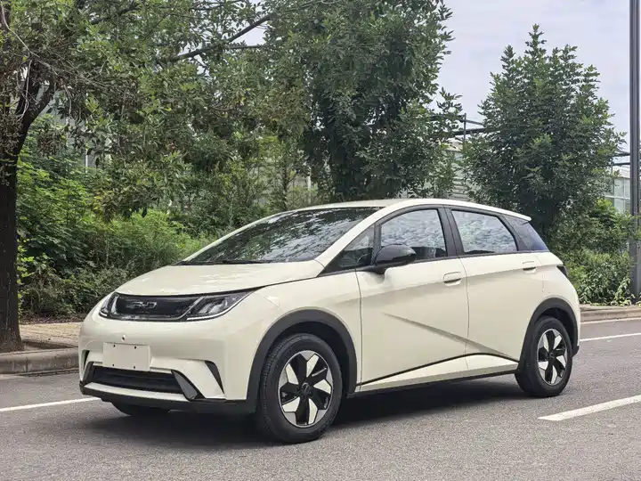 2025 BYD Dolphin 2025 420km Automatic