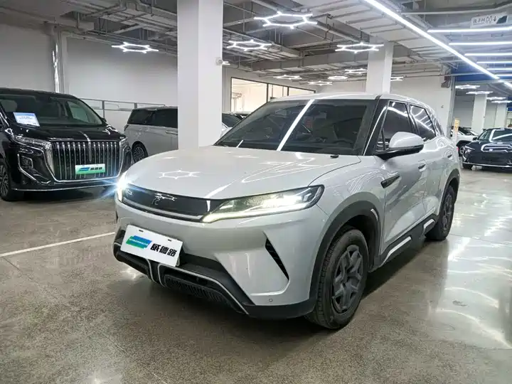 2024 BYD Yuan UP 2024 401km Automatic