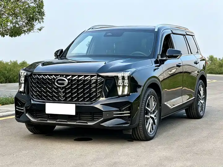 2022 GAC Trumpchi GS8 2022, 2.0TGDI Two-wheel Drive Luxury Intelligent Version, 7-seater, Automatic