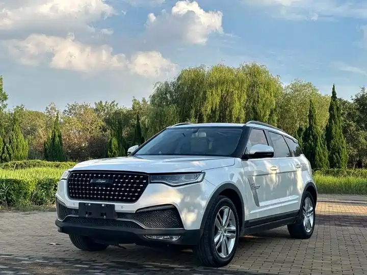 2017 Zotye T700